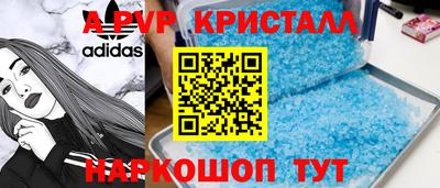 спиды Кингисепп