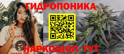 спиды Кингисепп