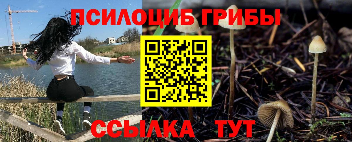 Галлюциногенные грибы прущие грибы Ярославль